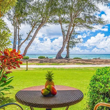 Islander On The Beach 131